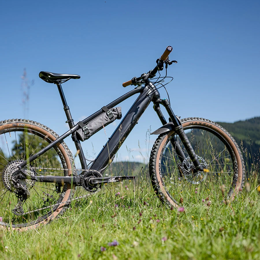 Fazua Energy Bag - E-Bike Akku Tasche – Bild 4