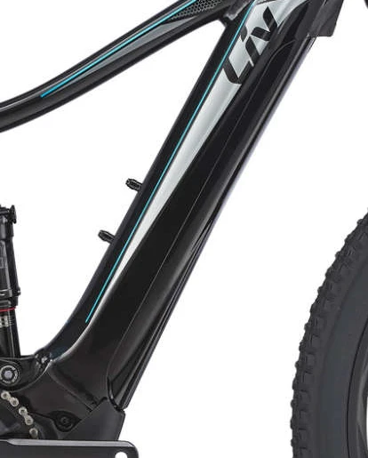 Giant Akkucover Intube Embolden E+2 Power 2019